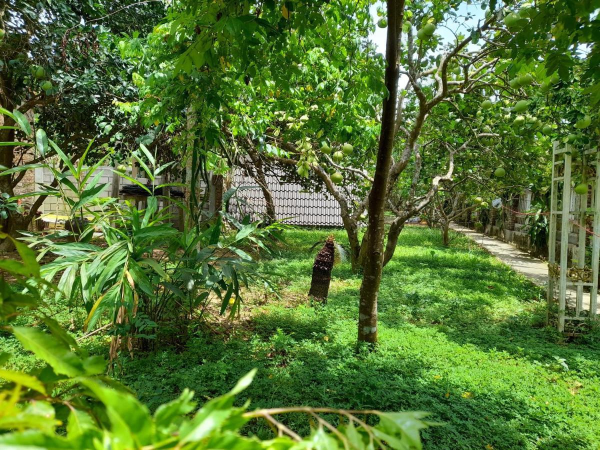 Tam Tinh Vien Homestay Hue Exterior foto