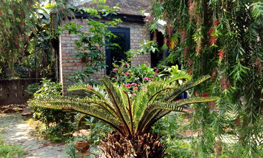 Tam Tinh Vien Homestay Hue Exterior foto