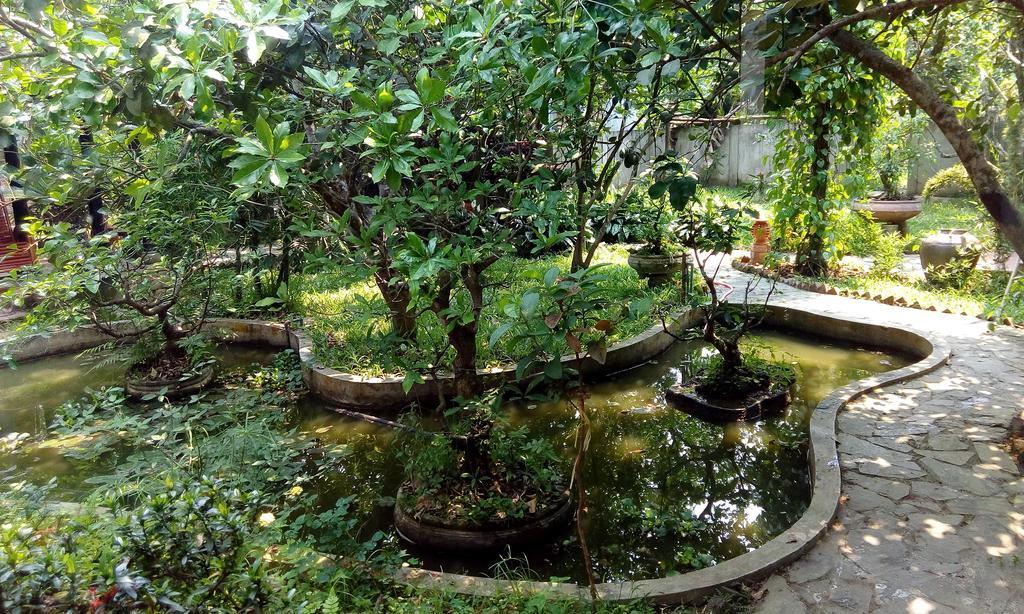 Tam Tinh Vien Homestay Hue Exterior foto